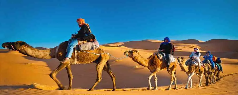 Camel Trekking Dubai